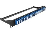 Delock - Pannello Patch - Montabile A Rack - Lc Quad Sm X 24 - Nero, Blu - 1U - 48,3 Cm (19") (43398)"
