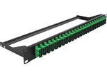 Delock - Patch Panel - Rack Montierbar - Sc Duplex Sm X 24 - Schwarz, GrüN - 1U - 48.3 Cm (19")"