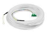 Digitus DK-3904LCA-50 Cavo Di Discesa Digitus Ftth, Monomodale, 4 Fibre, 4 Lc/Apc, 50M