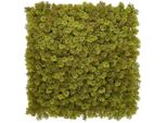Siepe Artificiale Kathy Moss - 100 X 100 Cm - Edera Artificiale - Pannello Murale - Schermo Privacy Per Balcone