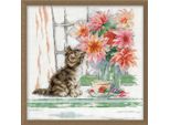 Kit Per Ricamo A Punto Croce Design Works "Gatto Curioso"", Schema Contato, 30X30Cm"
