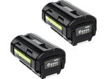 Batteria Agli Ioni Di Litio Da 40V, Capacità 6000Mah, Compatibile Con Diversi Modelli Ryobi, Batteria Da 2 Pezzi