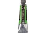 Royal Talens Rembrandt Colore Ad Olio 40 Ml Verde Permanente Chiaro