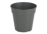 Vaso Da Giardino Nohel Madagascar Plastica D11X10Cm