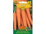 Carota Tardiva, 1300 Semi