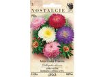 Giardino Di Nohel Astra Alta Principessa, Miscela