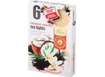 Candela Da Tè Nohel Garden Coconut Walnut Con Vanilla Profumata 6 Pz