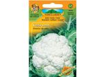 Cavolfiore Tardivo Dell'orto Di Nohel