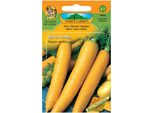 Carota Da Giardino Nohel, Mangime Giallo