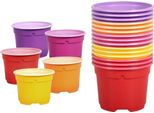 Fioriera Da Giardino Nohel Color Duo D9Cm 15Pz