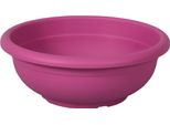 Nohel Garden Jardine Olimpo Plastica D20X8Cm