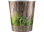 Nohel Garden Coprivaso Erbe Piante Plastica D12X14Cm