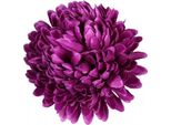 Nohel Garden Crisantemo In Fiore Artificiale Viola 13Cm
