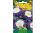 Nohel Garden Astra Alta, Blu-Bianco