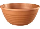 Nohel Garden Jardine Gloria Plastica D26X11Cm