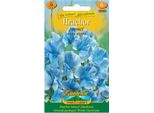 Nohel Garden Piselli Profumati, Blu
