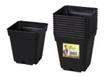 Nohel Garden Contenitore Per La Coltivazione In Plastica 13X13X13Cm 10Pcs