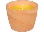 Nohel Garden Candle Citronella Guzmania 1Nodo Più Confezione 250G D1