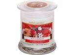 Candela Nohel Garden In Vetro Al Profumo Di Ginger 260G