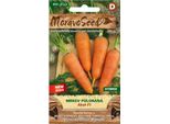 Carota Da Giardino Nohel Akat F1 - Ibrido 63719