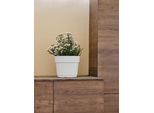 Copertura Da Giardino Nohel Bloom Autoinnaffiante In Plastica D29X24Cm