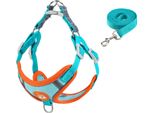 Pettorina Per Cani Con Guinzaglio, Riflettente E Traspirante, Regolabile Per Passeggiate All'aperto, Blu Mare Taglia M