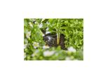 Gardena TropfbewäSserung-Set Hochbeet/Beet 35 Pflanzen (13455-20)