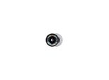 Rhodius Lamellenschleifscheibe Lga Alu 125Mm K 40 (210475)