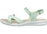 Scarpe Ecco 82188302579