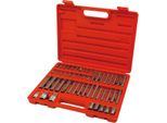 Extol Premium Bits (8818200) HEX-TORX-XZN, Set Di 51 Pezzi, Crv, S2