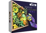 Okto Set Di Pittura Artistica Creativa Succulenti Energia