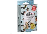 Gessi A Strisce Selvatiche Bambini Sensibili Al Divertimento Animale 20 Pz