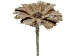Rosetta Di Protea Bianca 8-9 Cm Lavata, Decorazione Con Fiori Secchi, Decorazione Floreale Funeraria, Set Di 25 Pezzi