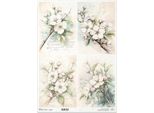 Carta Di Riso Per Decoupage Carta Artigianale Per Decoupage A3 ITD-1426L Frutta Fiori Rami
