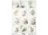 Itd Carta Di Riso Decoupage Tecnica Artigianale Tovagliolo Di Carta-R2605 Fiori, Bucaneve, Campanule, Mughetti, Margherite, Viole, Nontiscordardime, Violette