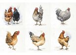 Set Di Carta Di Riso - Itd - RSM111 Galline