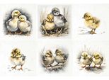 Set Di Carta Di Riso - Itd - RSM109 Galline