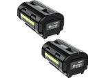 Batteria Ryobi OP4050, Capacità 6000Mah, 40V Li-Ion, 2Pcs 6.0Ah Batteria