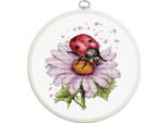 Luca-S Kit Per Ricamo A Punto Croce Con Cerchio "Fiore Di Campo"", Schema Di Conteggio, 11X13,5 Cm"