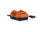 Powerplus POWDP9056 - Caricabatterie 20V/40V - 2,0Ah