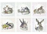 Itd Carta Di Riso Decoupage Set Carta Artigianale, Vintage, Coniglietto Pasquale RSM070