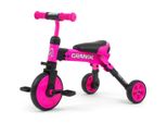 Milly Mally Grande Triciclo Per Bambini 2In1 Rosa
