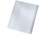 Leitz 1281-00-00 1281 Indice Numerico - 1-31, Pp, A4 Extra Largo, 31 Fogli, Grigio