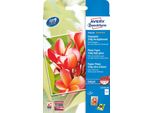 Avery Zweckform® C2550-50 C2550-50 Carta Fotografica Premium A Getto D'inchiostro - 10X15 Cm, Lucido, 250 G/M², 50 Fogli