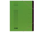 Elba 400002025 Organizer Chic - 7 Scomparti, A4, Cartoncino (Rc), 450 G/Mq, Verde