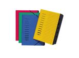 Pagna 24122-03 Organizzatore, Din A4, Cartone, 12 Scomparti, Verde