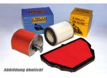 Filtro Emgo Per Aria Vtr 1000 SP1, 00-01