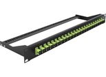 Delock - Patch Panel - Rack Montierbar - Sc Mm X 24 - Schwarz, HellgrüN - 1U - 48.3 Cm (19")"