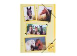 Pagna® 21715-15 Cartella Elastica Xoxo Horse - A4, 3 Lembi, Pp