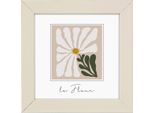 Goldbuch Cornice In Legno Aura 10X10 Cm Beige In Vero Legno Vetro Trasparente Mdf